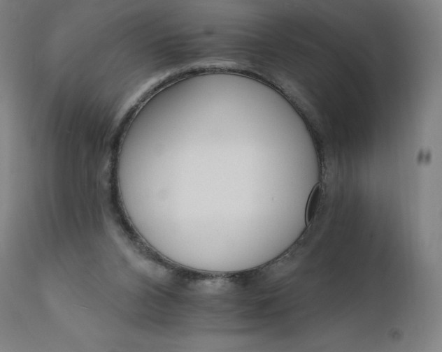 X0000112430112200908281911