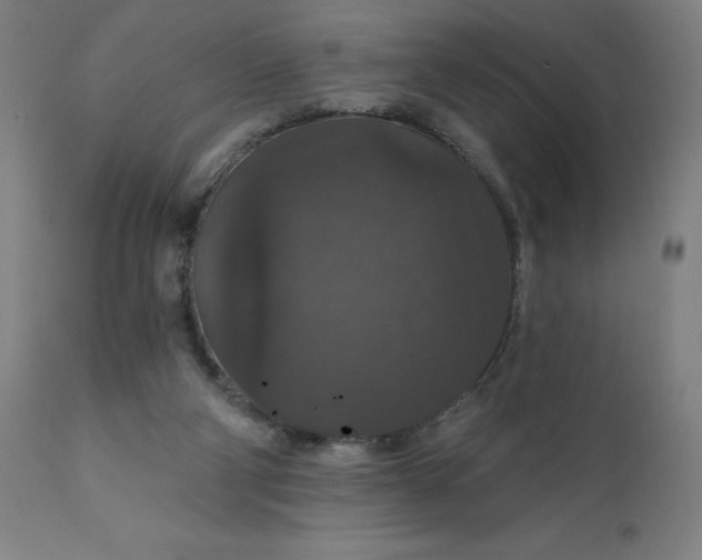 X0000112430114200908281911