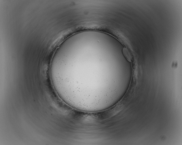 X0000112430115200908281911