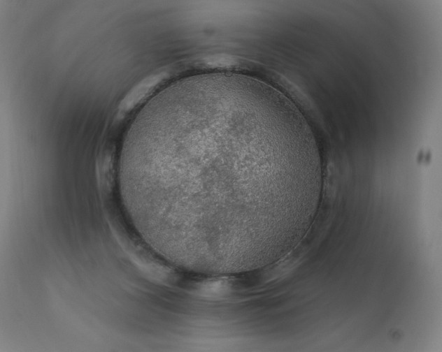 X0000112430116200908281911