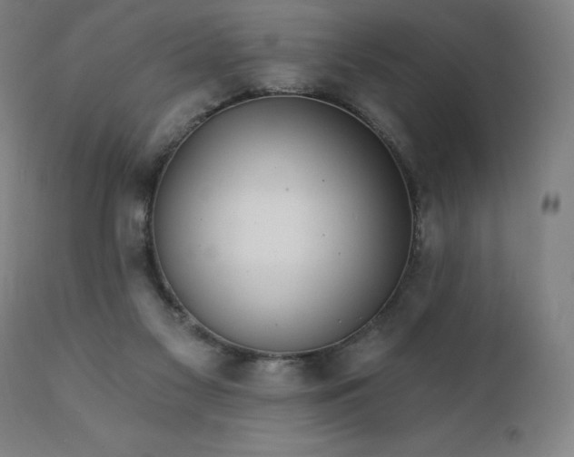 X0000112430117200908281911