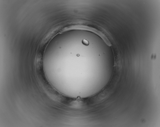 X0000112430119200908281911