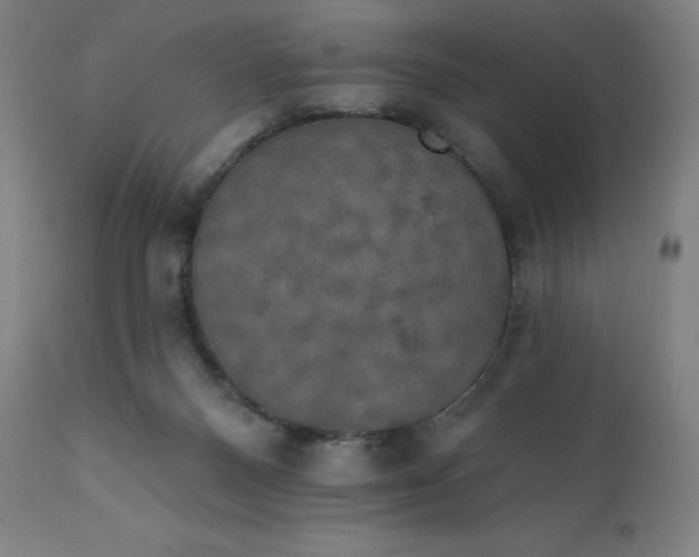 X0000112430120200908281911