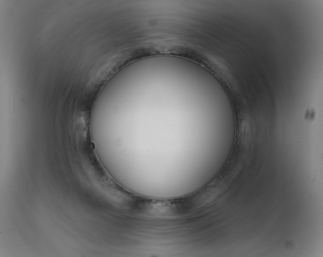 X0000112430121200908281911