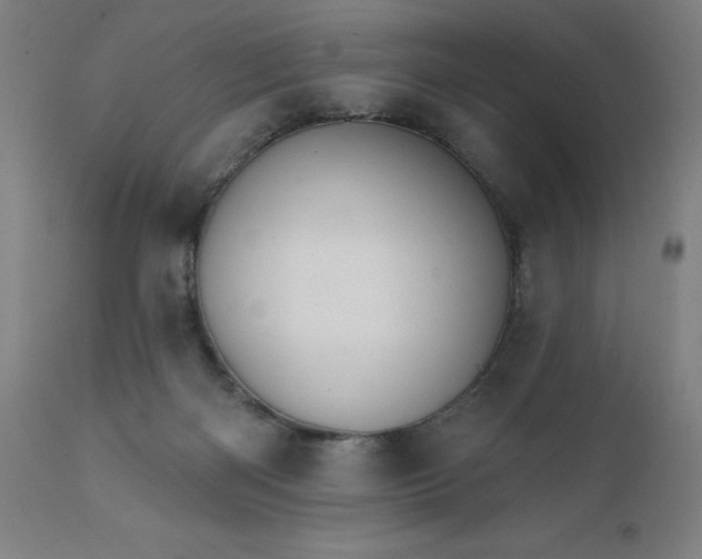 X0000112430122200908281911