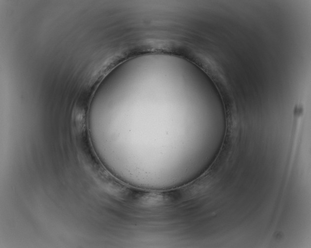 X0000112430123200908281911