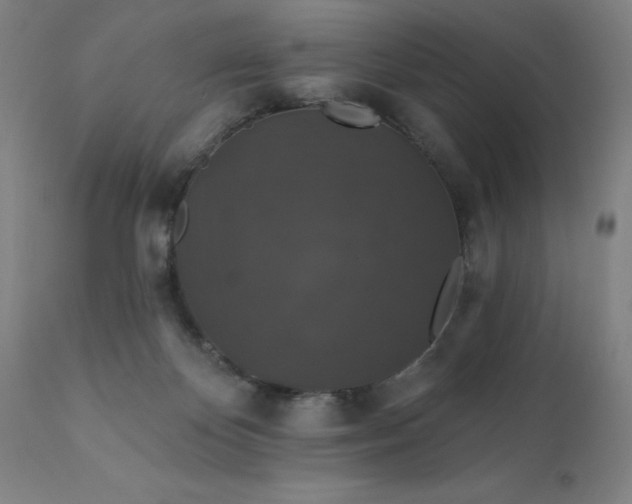 X0000112430124200908281911