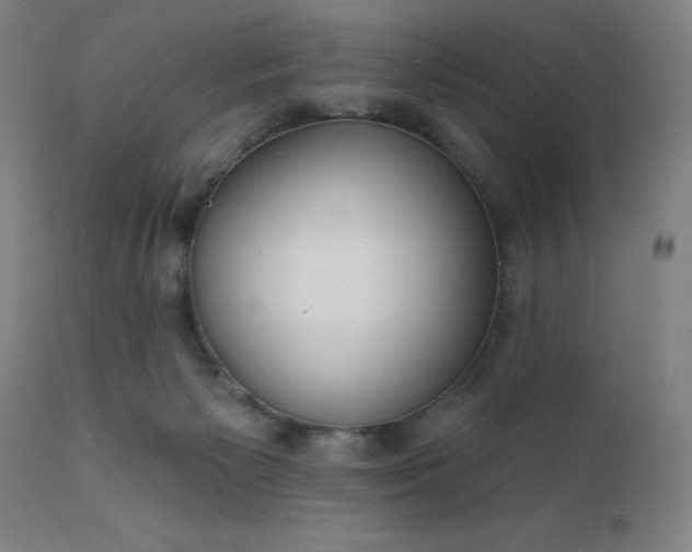 X0000112430125200908281911