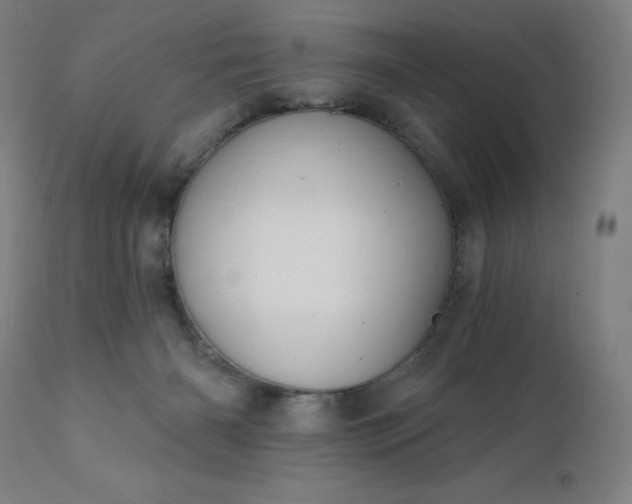 X0000112430126200908281911