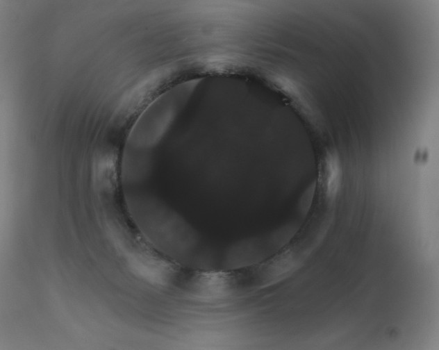 X0000112430127200908281911