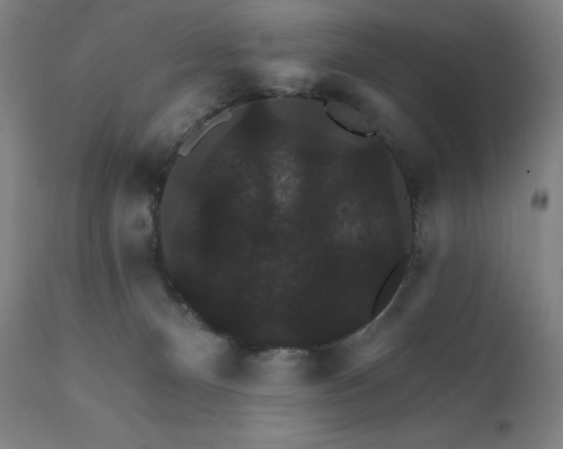 X0000112430128200908281911