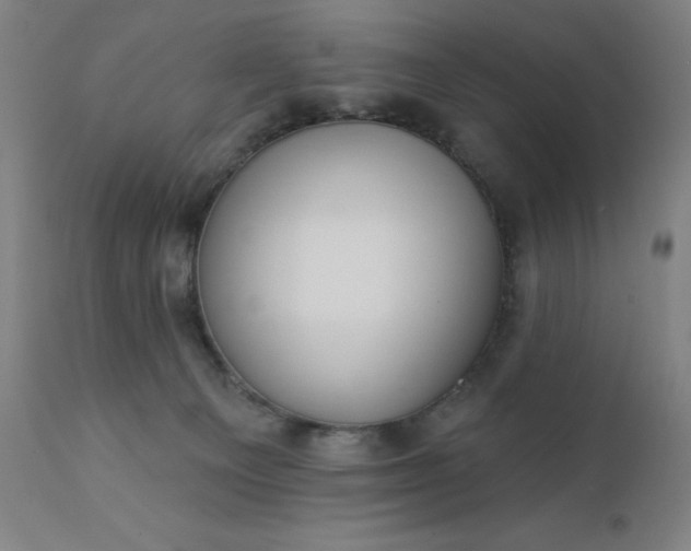 X0000112430129200908281911