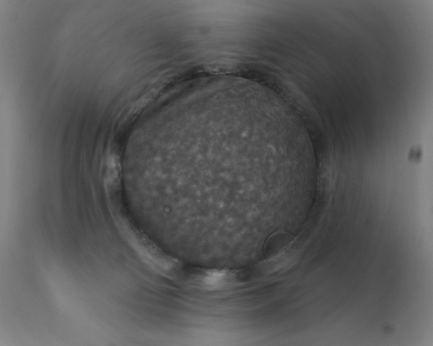 X0000112430130200908281911