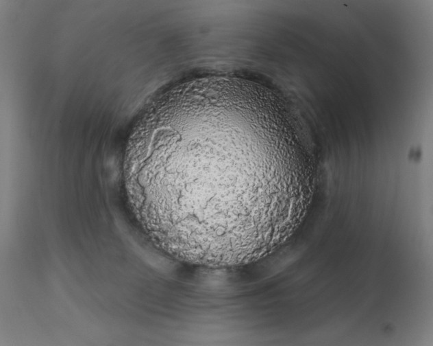 X0000112430131200908281911