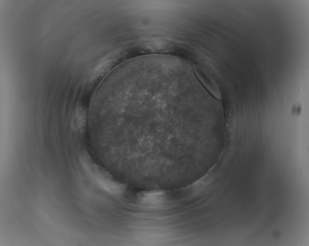 X0000112430132200908281911