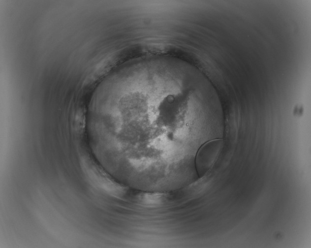 X0000112430134200908281911