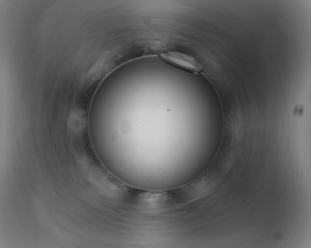 X0000112430135200908281911