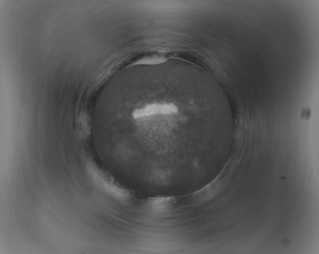 X0000112430136200908281911