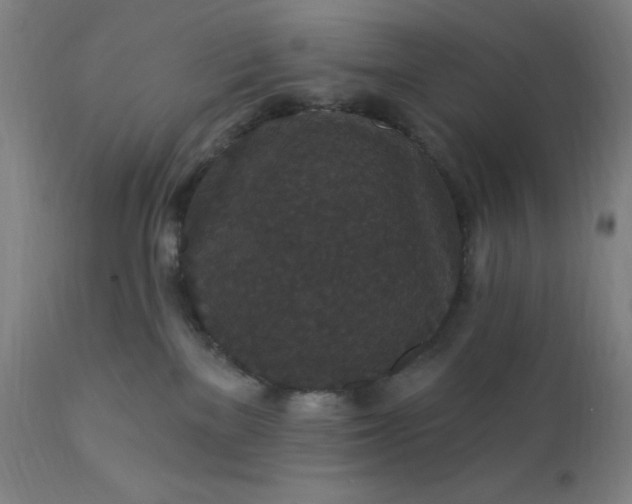 X0000112430137200908281911