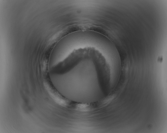 X0000112430139200908281911