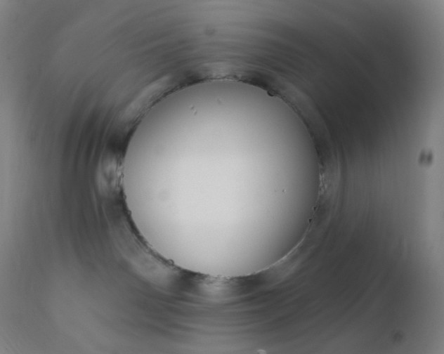 X0000112430142200908281911