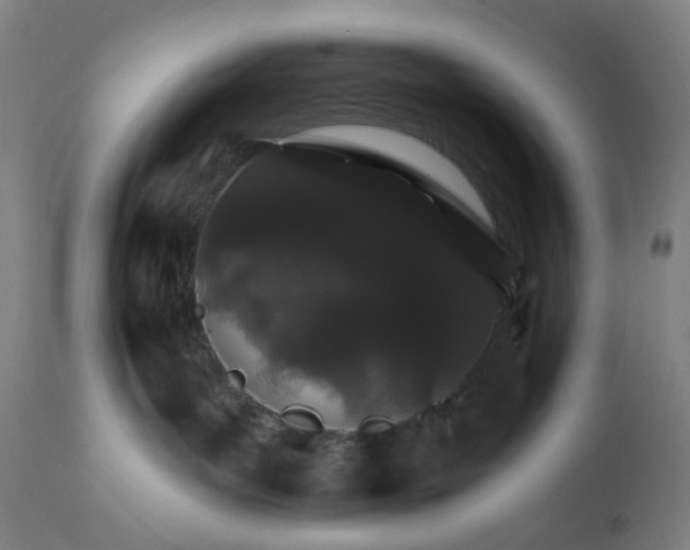 X0000112430143200908281911