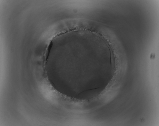 X0000112430144200908281911