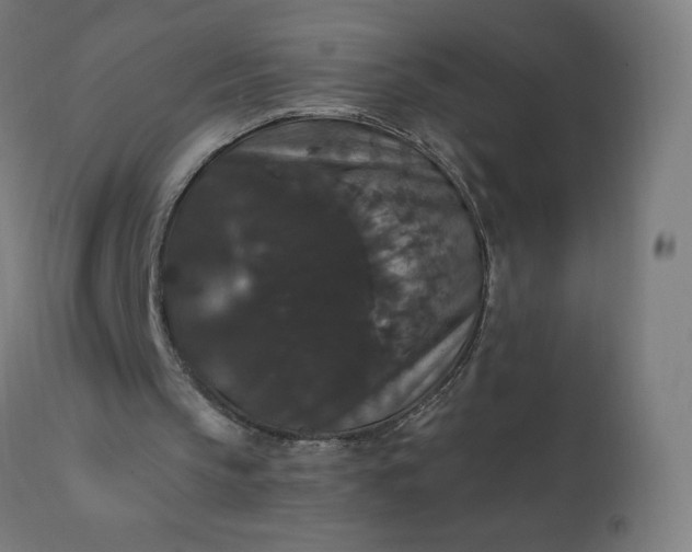 X0000112430145200908281910