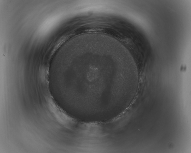 X0000112430146200908281910