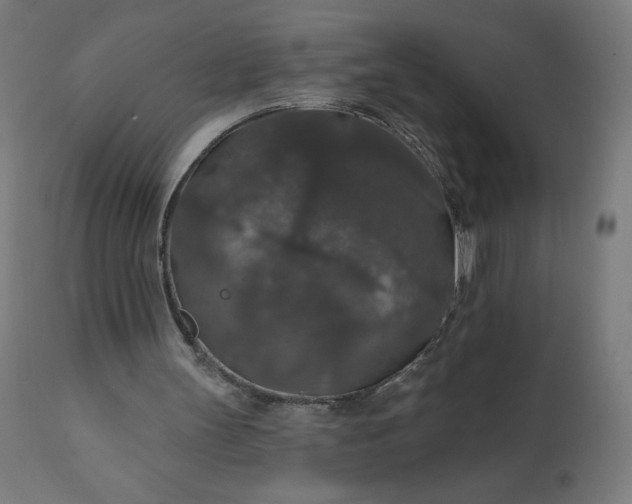 X0000112430147200908281910