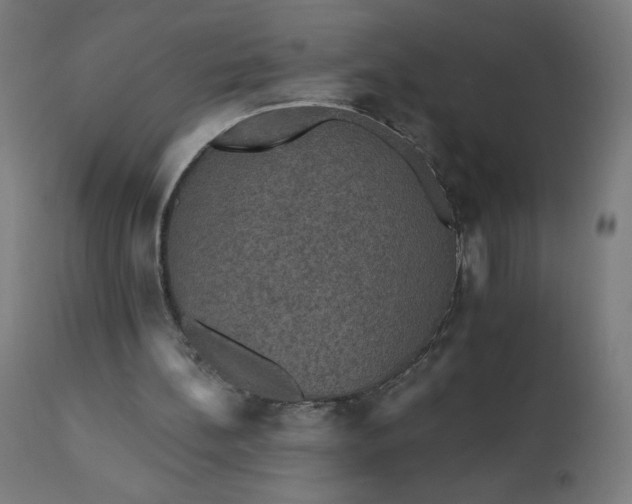 X0000112430148200908281910