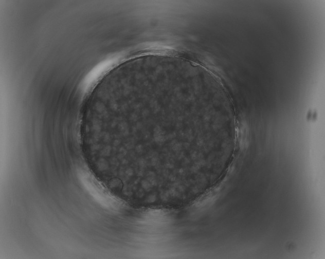 X0000112430149200908281910