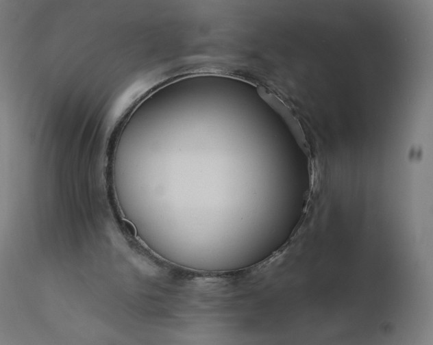 X0000112430150200908281910