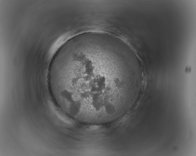 X0000112430151200908281910