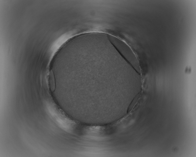 X0000112430152200908281910