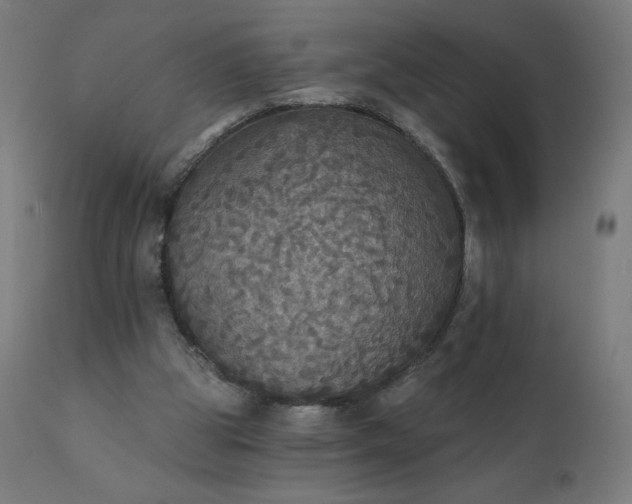 X0000112430153200908281910