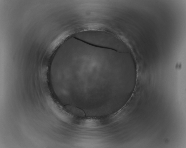 X0000112430154200908281910