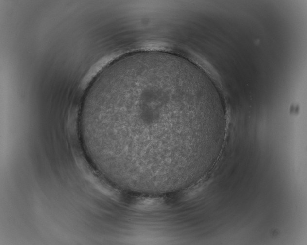 X0000112430155200908281910