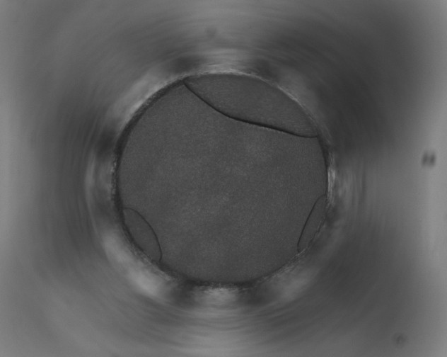 X0000112430156200908281910