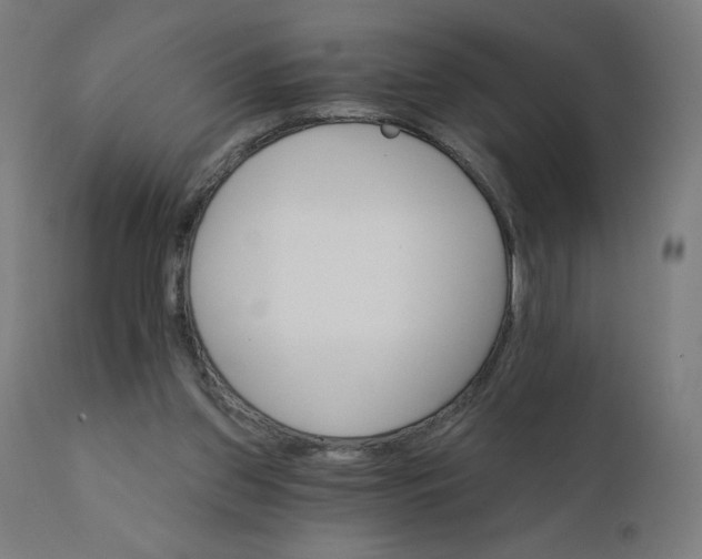 X0000112430157200908281910