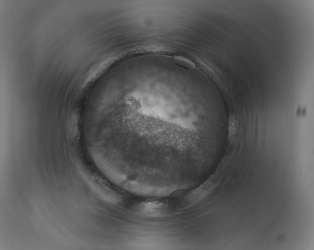 X0000112430158200908281910