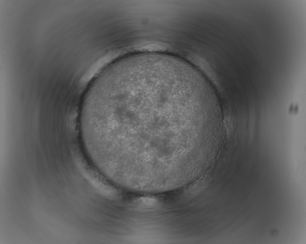 X0000112430159200908281910