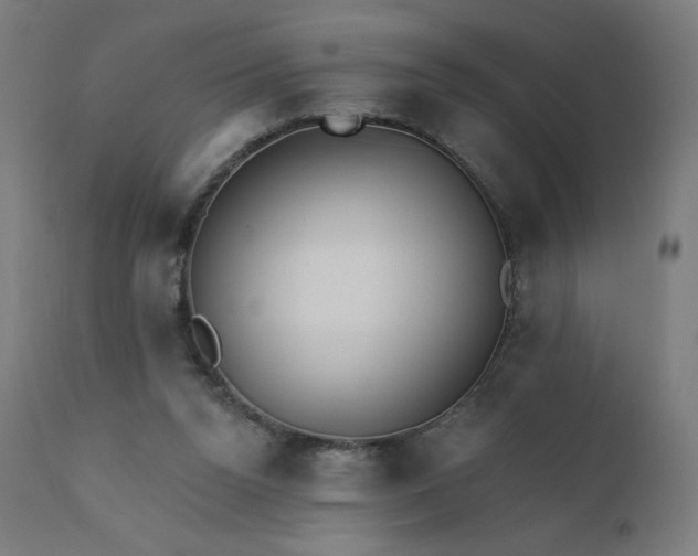 X0000112430160200908281910