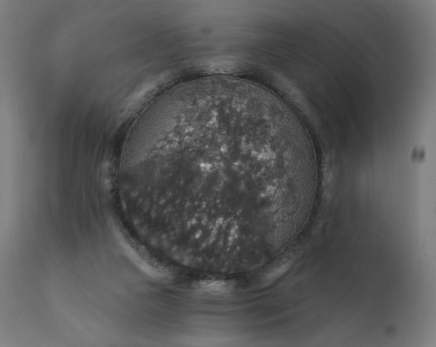 X0000112430161200908281910