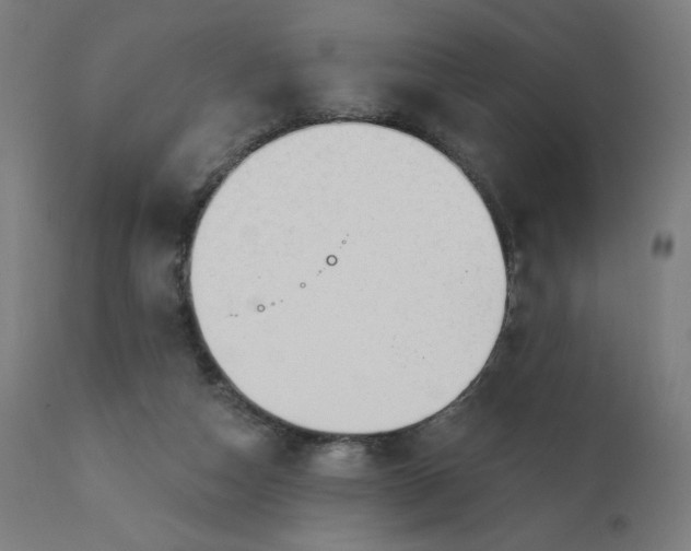 X0000112430162200908281910