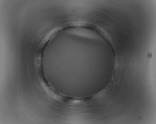 X0000112430163200908281910