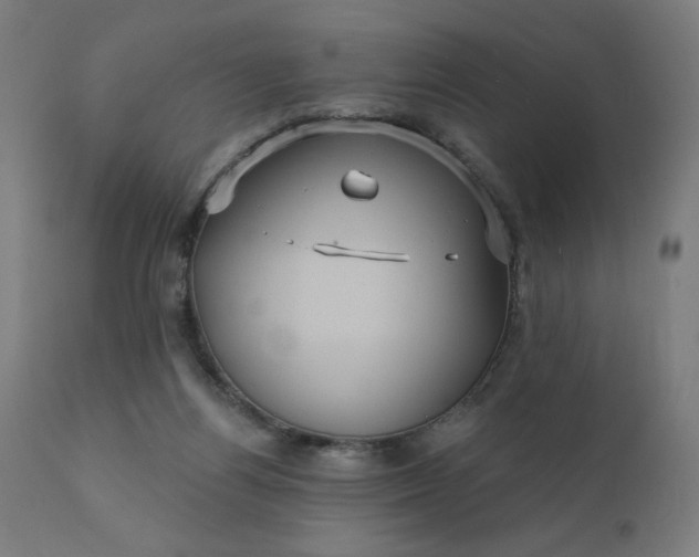 X0000112430164200908281910