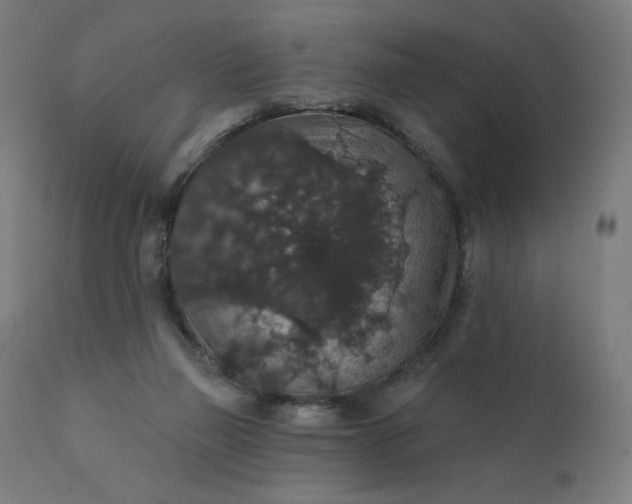 X0000112430165200908281910