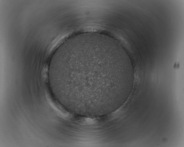 X0000112430166200908281910