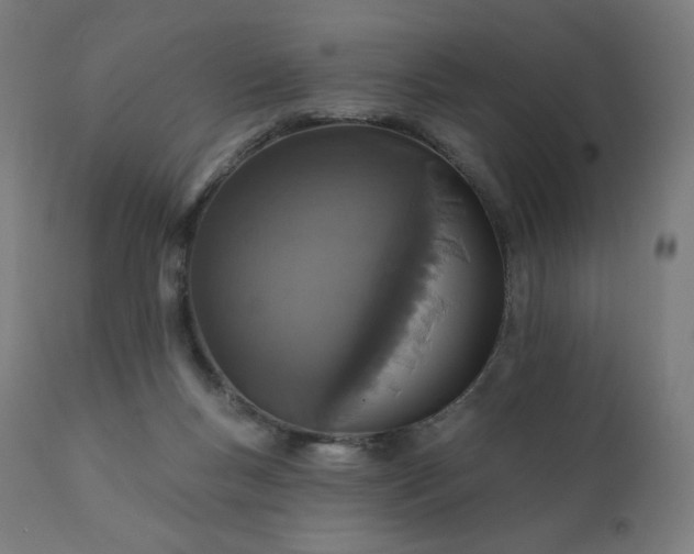 X0000112430167200908281910